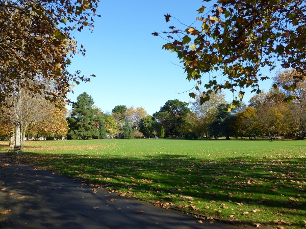Parque Ferrera 21